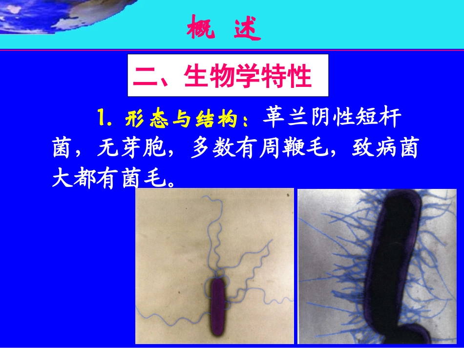医学微生物学第十章肠杆菌科伤寒沙门菌_第3页