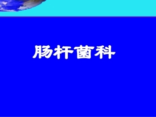 医学微生物学第十章肠杆菌科伤寒沙门菌