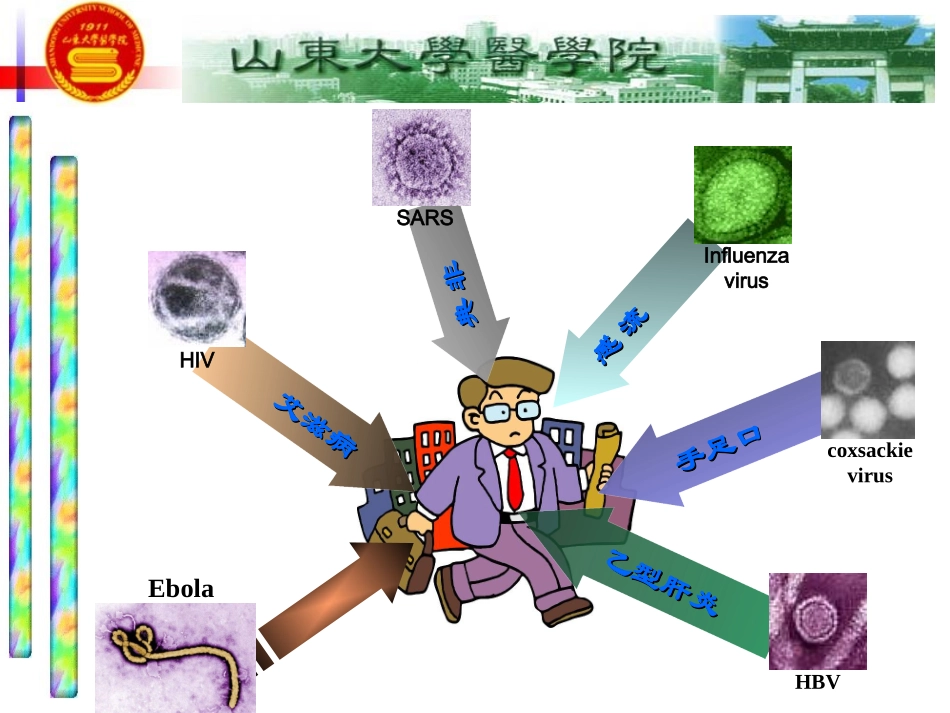 医学微生物学章病毒的基本性状_第3页