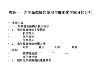 医学细胞生物学实验