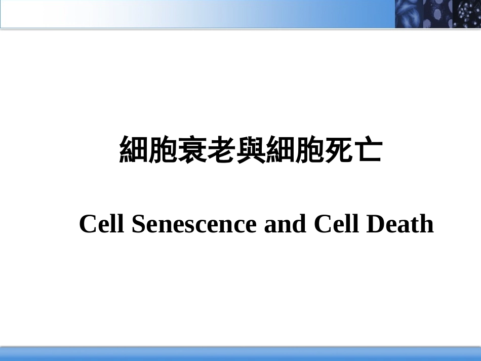 医学细胞生物学细胞衰老与细胞死亡_第2页