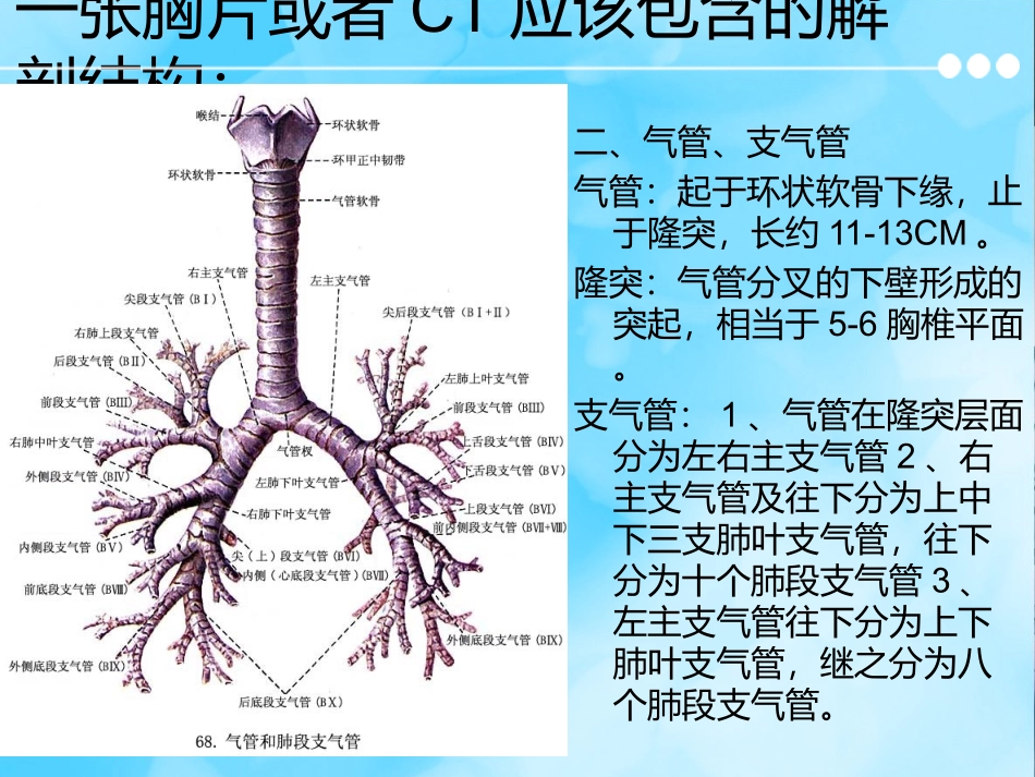 医学胸片及胸部CT的阅读内容及肺段定位培训课件_第3页