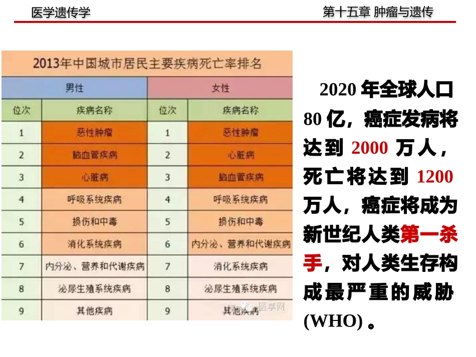 遗传学肿瘤与遗传_第2页