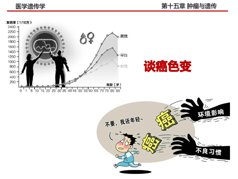遗传学肿瘤与遗传_第3页