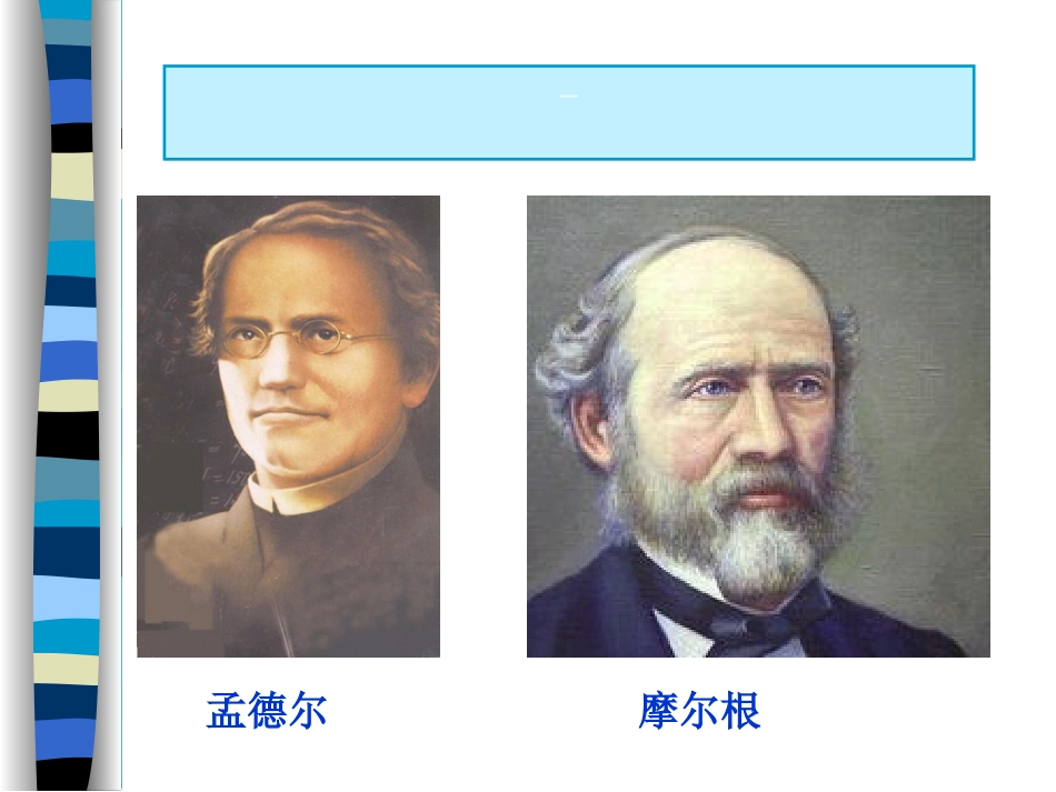 遗传与优生第三章遗传的基本规律_第3页