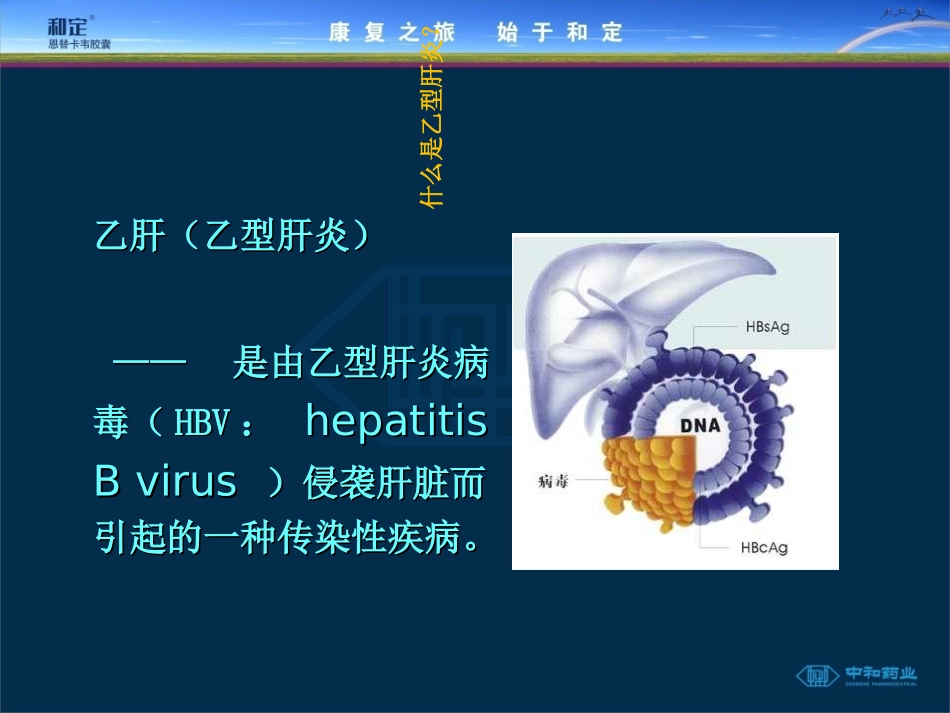 乙肝基础知识优质课件_第3页