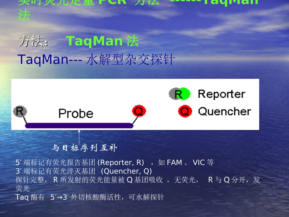 荧光定量PCR检测项目_第2页