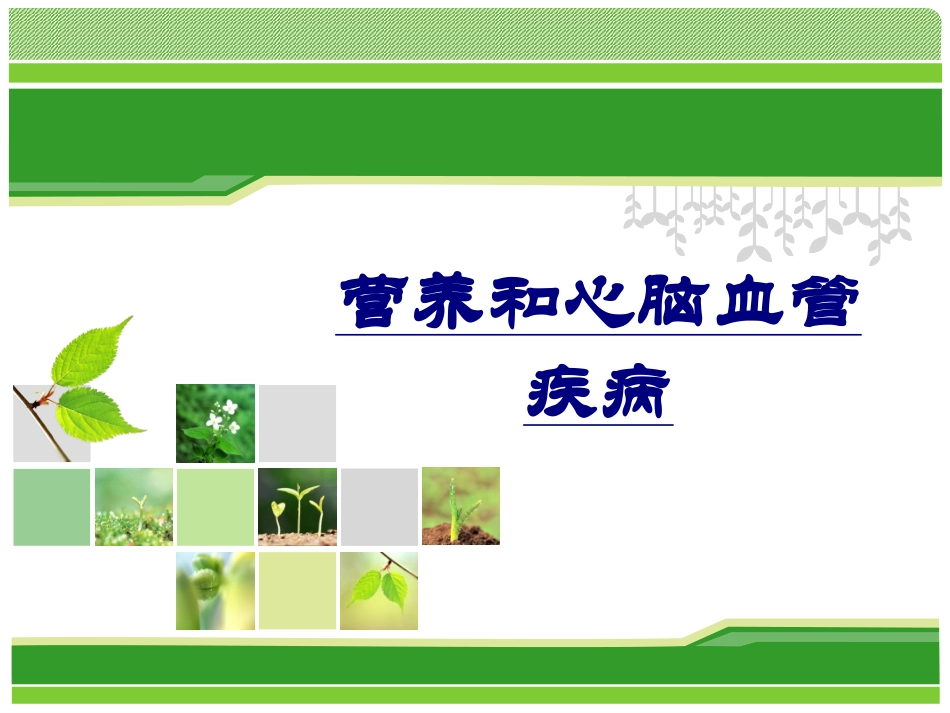 营养和心脑血管疾病优质课件_第1页