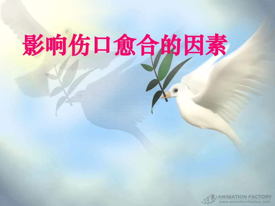 影响伤口愈合的因素_第1页