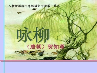 咏柳课件(3)