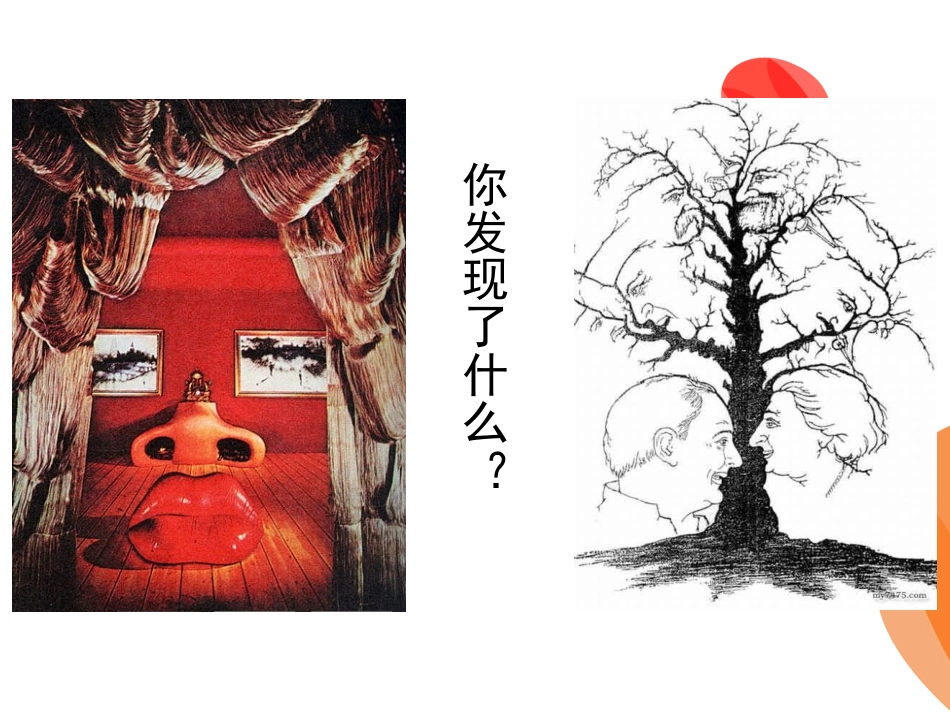 有趣的脸课件_第2页