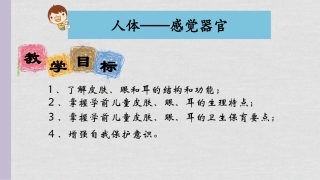 幼儿感觉器官