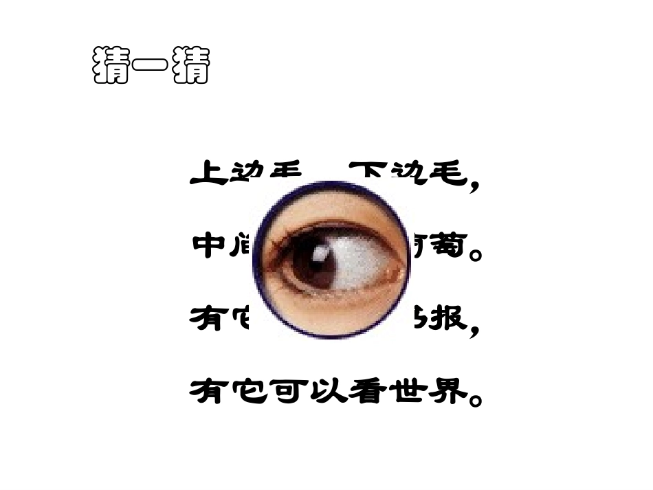 幼儿园健康课件保护眼睛幼教精品课件_第1页