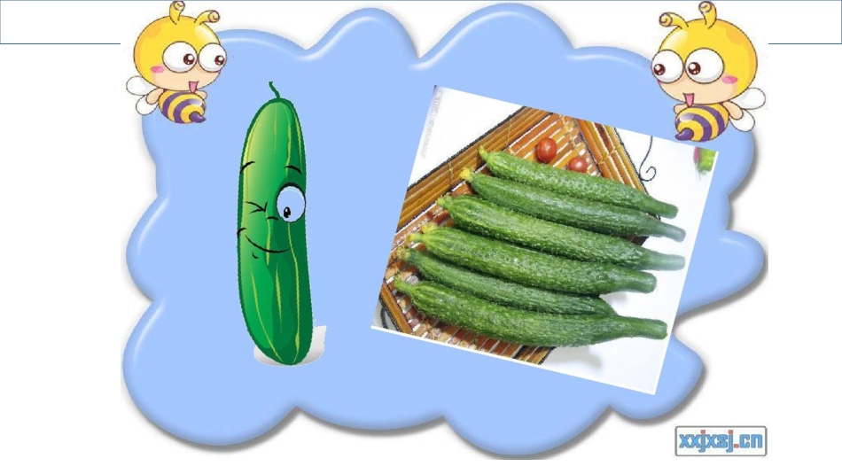 幼儿园健康饮食汇总课件_第3页