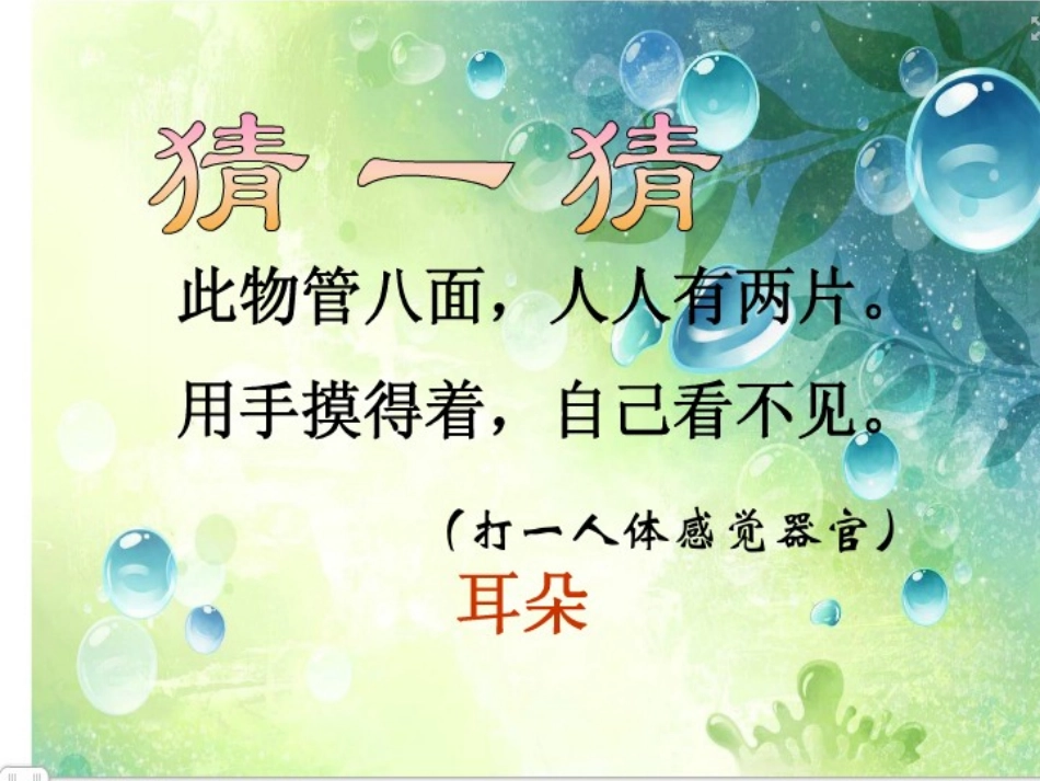 幼儿园小班健康活动课件机灵的耳朵_第3页