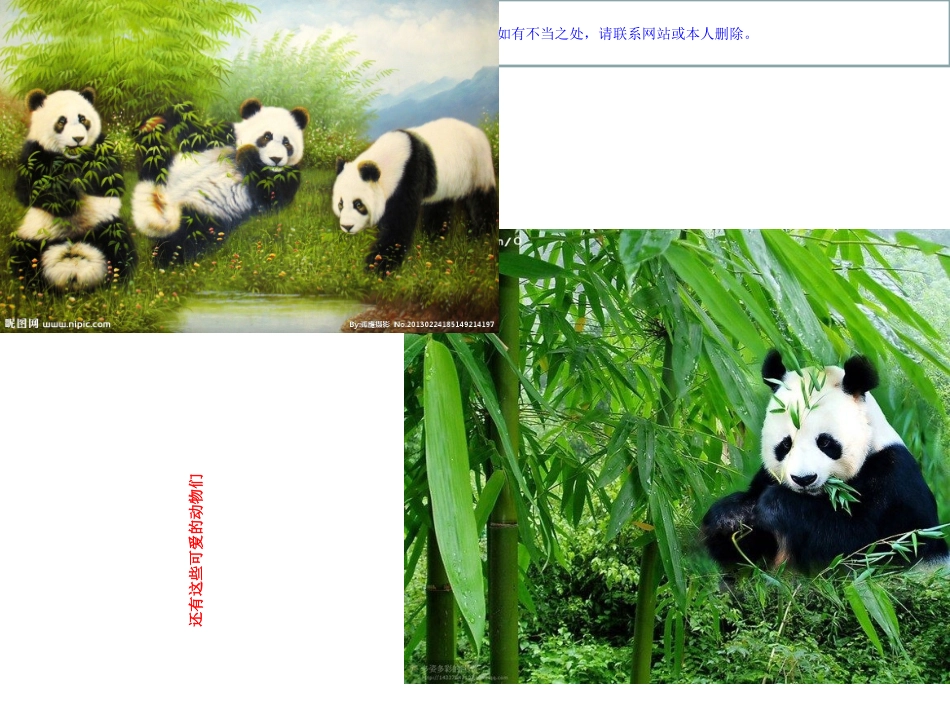 幼儿园小班健康课环保小卫士课件_第3页