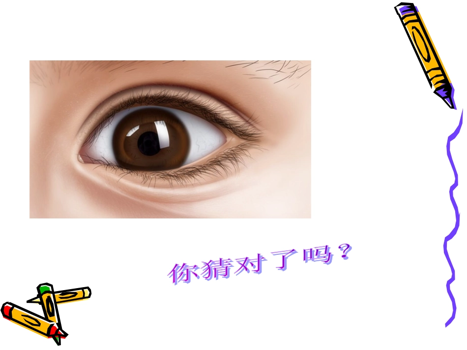 幼儿园预防近视课件_第3页