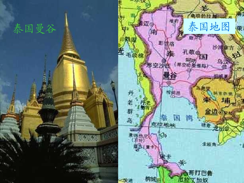 与象共舞课件_第2页