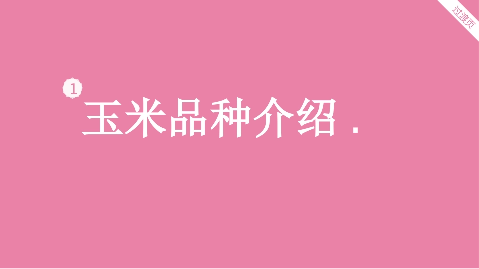 玉米调研报告_第3页