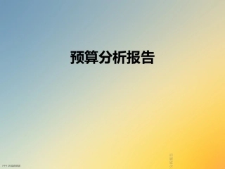 预算分析报告