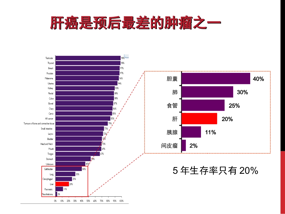 原发性肝细胞肝癌病案分析优质课件_第3页