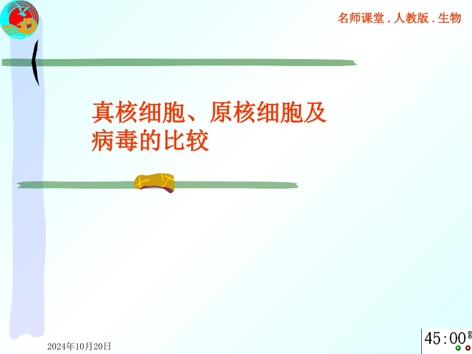 原核生物真核生物和病毒_第1页