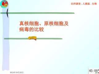 原核生物真核生物和病毒