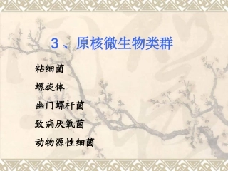 原核微生物粘细菌等综述