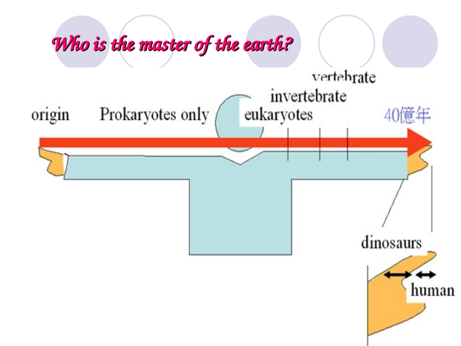 原核细胞型微生物_第2页