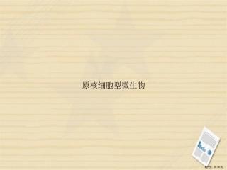 原核细胞型微生物讲课文档