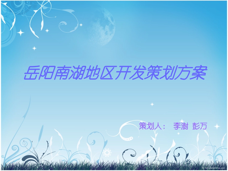 岳阳南湖地区开发策划方案李澍彭万_第1页