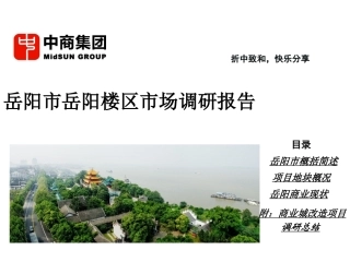 岳阳市岳阳楼区商业调查报告