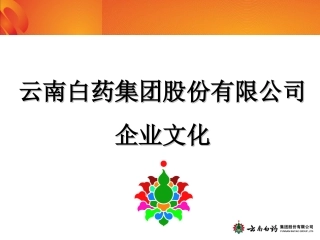 云南白药企业文化