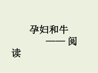 孕妇和牛阅读课件