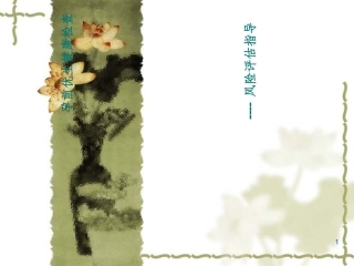 孕前优生健康检查风险评估指导课件