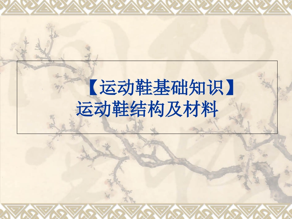 运动鞋基础知识_第1页
