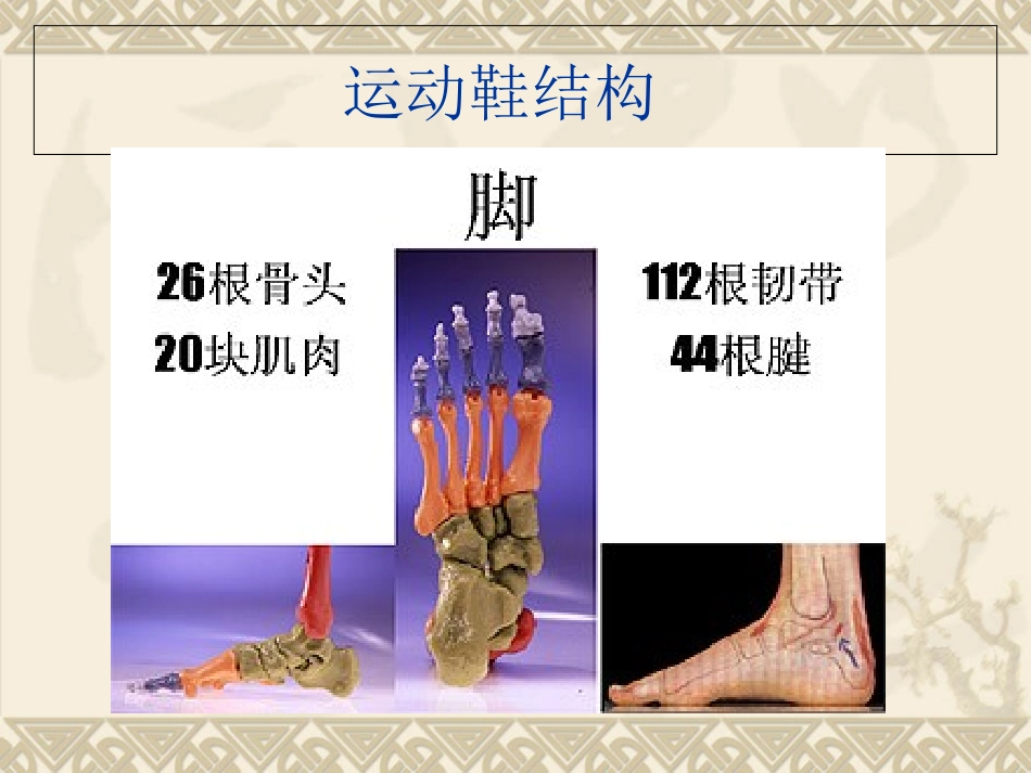 运动鞋基础知识_第3页