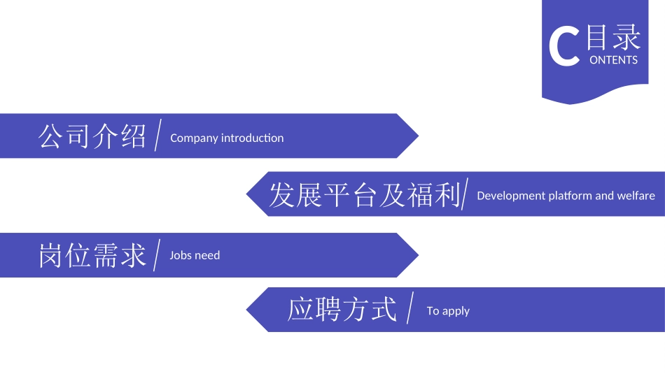 招聘企业宣讲_第2页