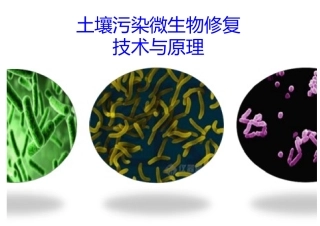 浙江大学污染环境的物理修复微生物修复原位与异位