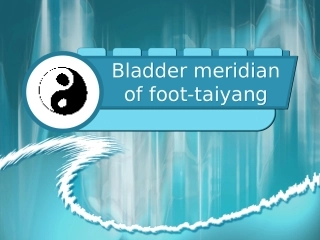 针灸英语之膀胱经课件