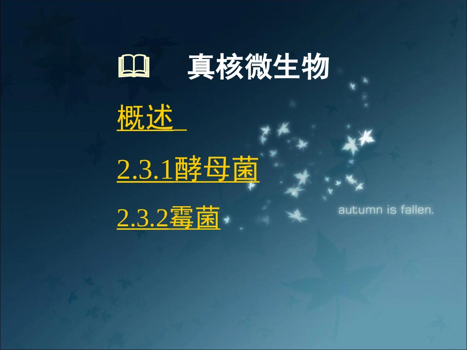 真核微生物酵母菌_第2页