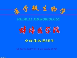 真菌的生物学性状