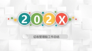 征收管理股工作总结