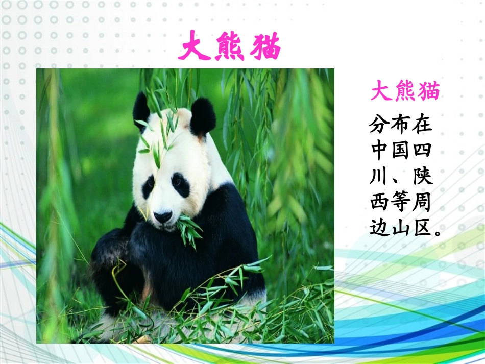 拯救动物课件_第2页