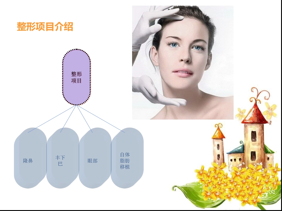 整形培训课件._第2页