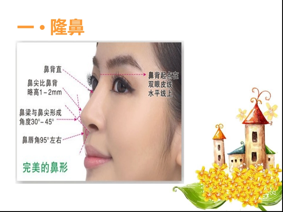 整形培训课件._第3页