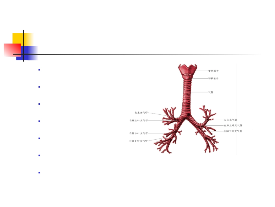 支气管哮喘教学查房培训课件_第2页