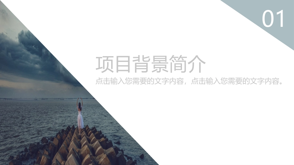 知识收纳师·PPT模板简约大气项目策划书PPT模板_第3页