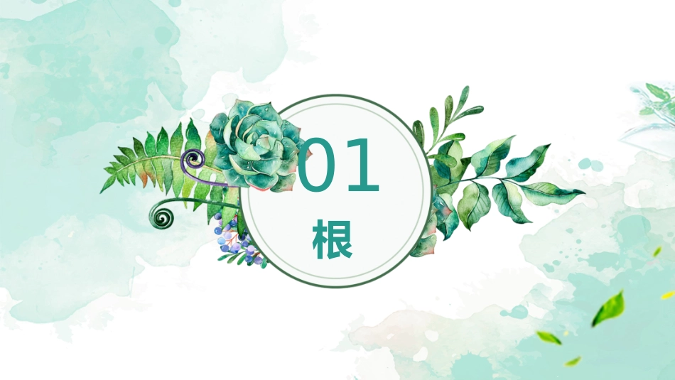 植物的六大器官_第3页