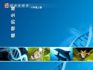 植物的生殖教学课件